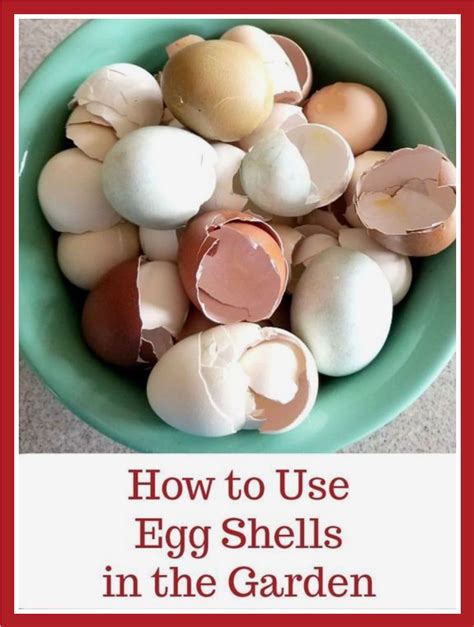 Eggshell magical practices